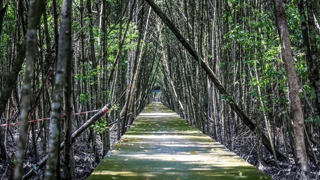 Eco-Tourism & Nature