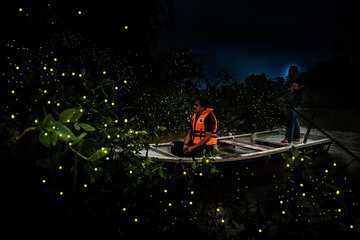 Kampung Kuantan Firefly Park