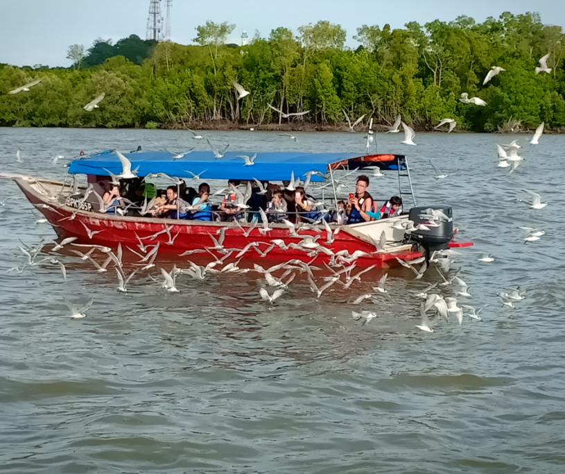 Marine & River Tours